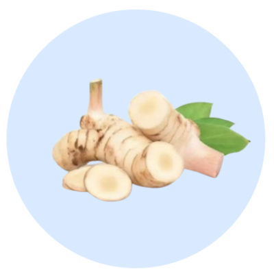 Bumbu Dan Sayur Beku